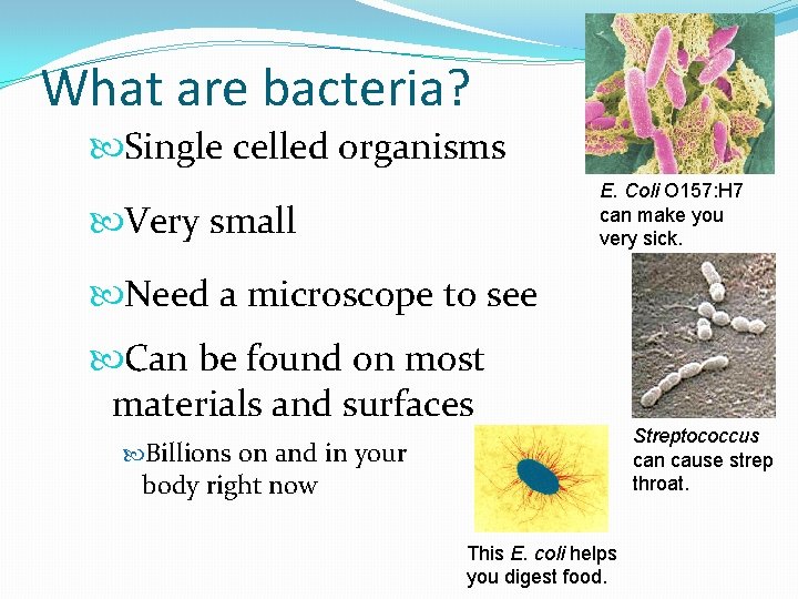 What are bacteria? Single celled organisms E. Coli O 157: H 7 can make
