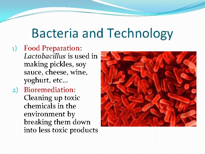 Bacteria and Technology 1) Food Preparation: Lactobacillus is used in making pickles, soy sauce,