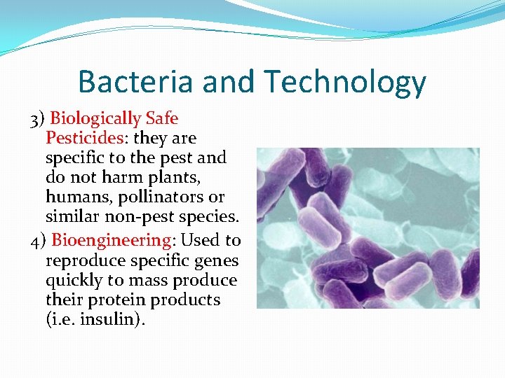 Bacteria and Technology 3) Biologically Safe Pesticides: they are specific to the pest and