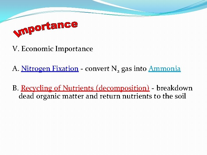 V. Economic Importance A. Nitrogen Fixation - convert N 2 gas into Ammonia B.