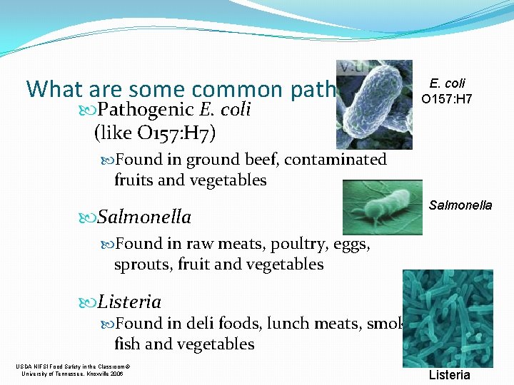What are some common pathogens? Pathogenic E. coli (like O 157: H 7) E.
