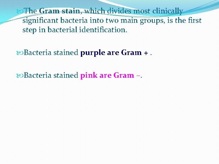  The Gram stain, which divides most clinically significant bacteria into two main groups,
