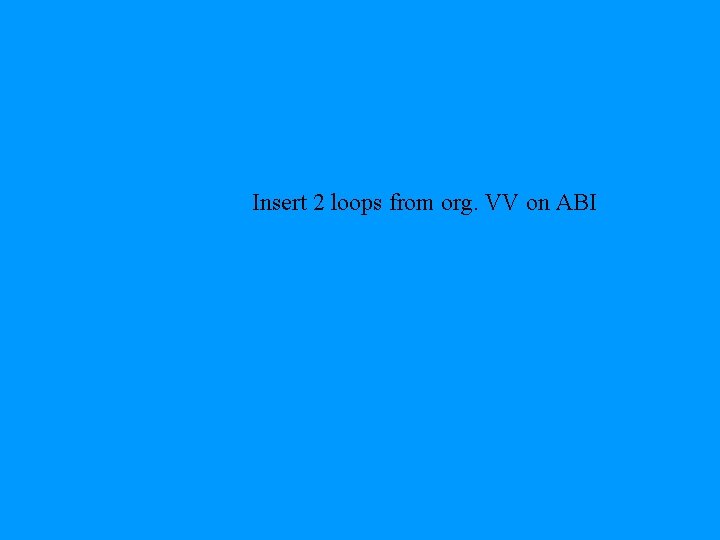 Insert 2 loops from org. VV on ABI 