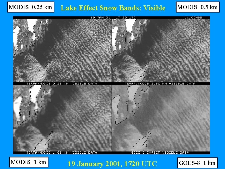 MODIS 0. 25 km MODIS 1 km Lake Effect Snow Bands: Visible MODIS 0.