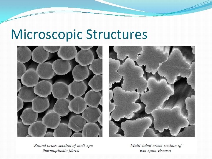 Microscopic Structures 