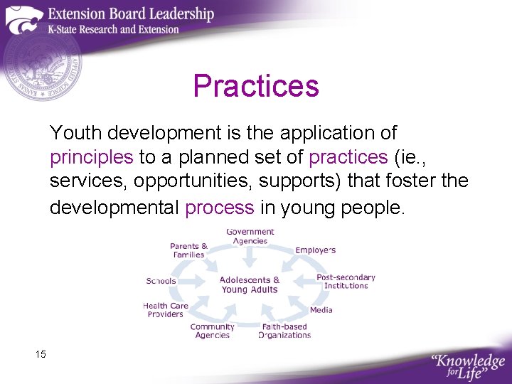 Practices Youth development is the application of principles to a planned set of practices