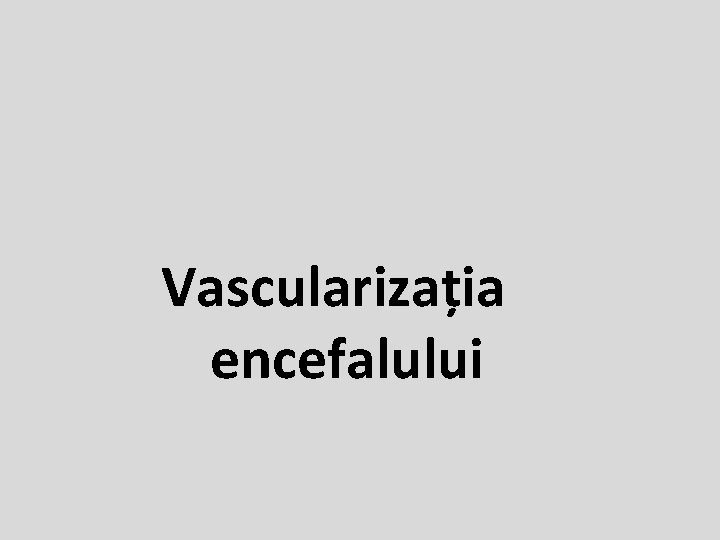 Vascularizația encefalului 