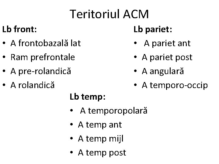 Teritoriul ACM Lb front: Lb pariet: • A frontobazală lat • A pariet ant