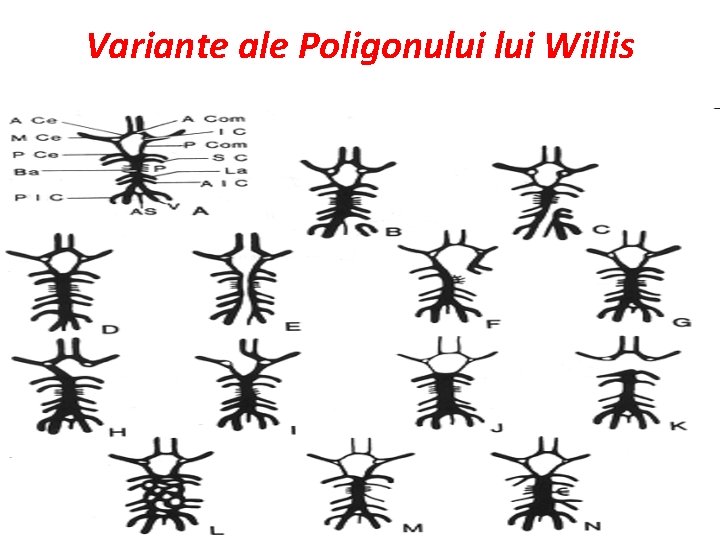 Variante ale Poligonului Willis 