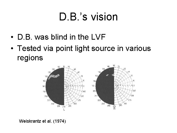 D. B. ’s vision • D. B. was blind in the LVF • Tested