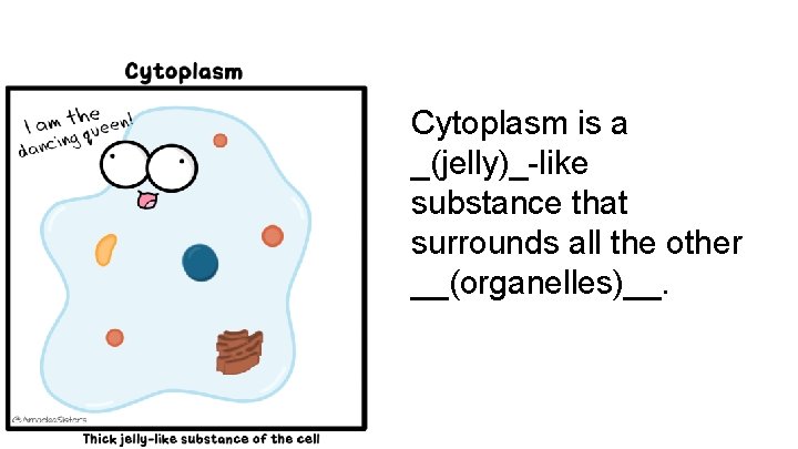 Cytoplasm is a _(jelly)_-like substance that surrounds all the other __(organelles)__. 