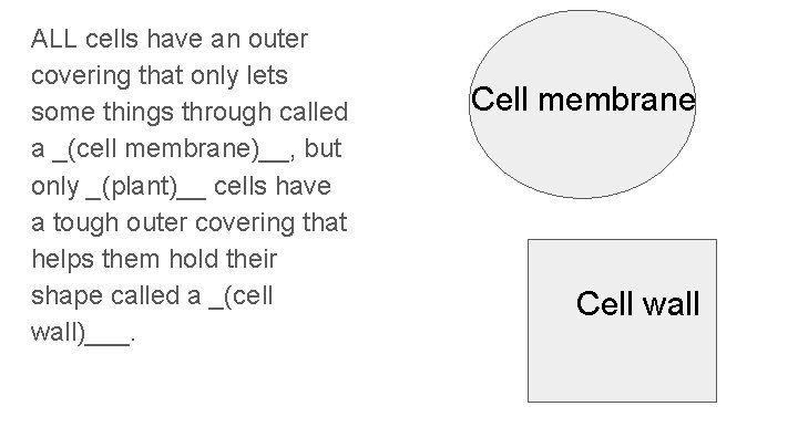 ALL cells have an outer covering that only lets some things through called a