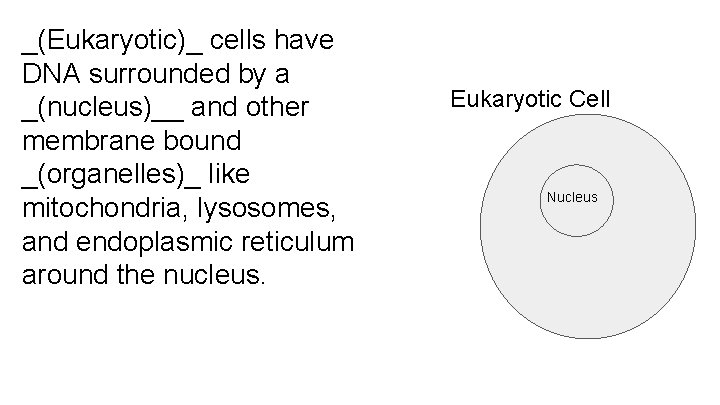 _(Eukaryotic)_ cells have DNA surrounded by a _(nucleus)__ and other membrane bound _(organelles)_ like