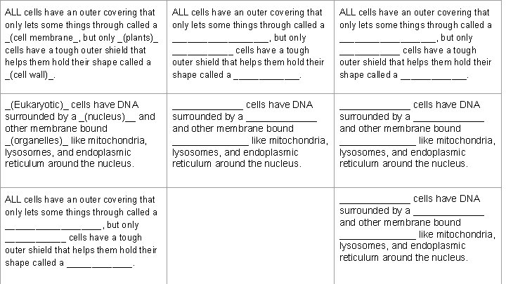 ALL cells have an outer covering that only lets some things through called a