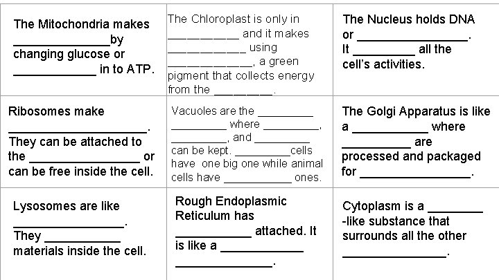 The Mitochondria makes _______by changing glucose or ______ in to ATP. The Chloroplast is