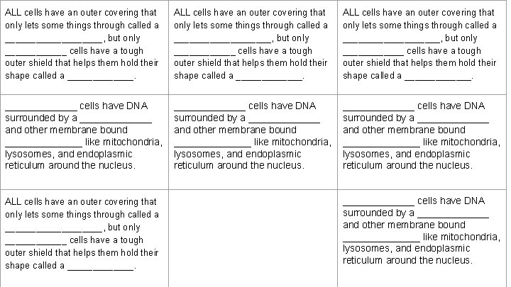 ALL cells have an outer covering that only lets some things through called a