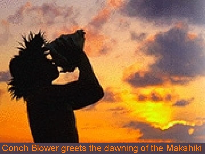 Conch Blower greets the dawning of the Makahiki 