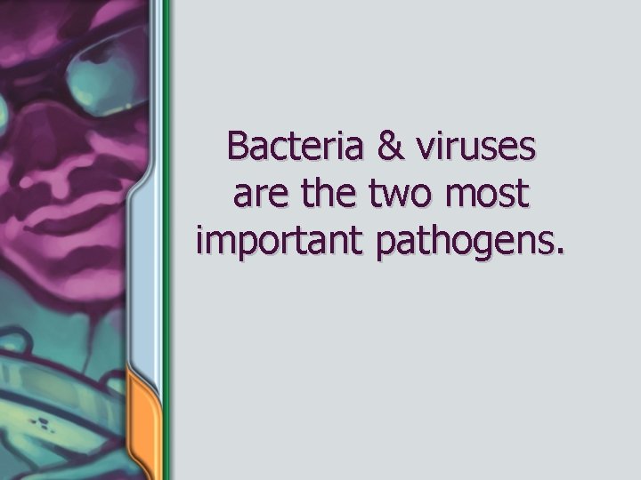 Bacteria & viruses are the two most important pathogens. 