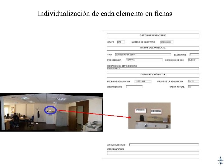 Individualización de cada elemento en fichas 