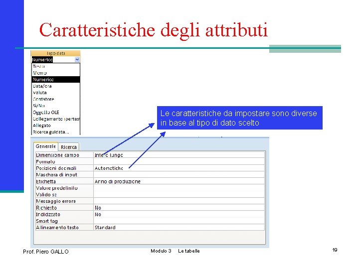 Caratteristiche degli attributi Le caratteristiche da impostare sono diverse in base al tipo di