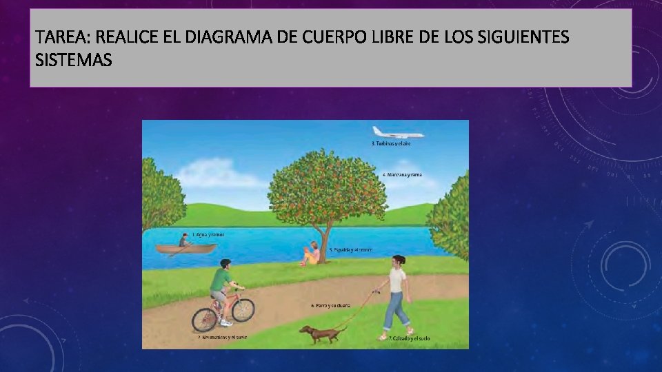 TAREA: REALICE EL DIAGRAMA DE CUERPO LIBRE DE LOS SIGUIENTES SISTEMAS 