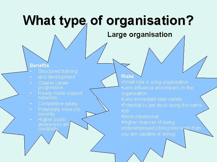 What type of organisation? Large organisation Benefits • Structured training • and development •
