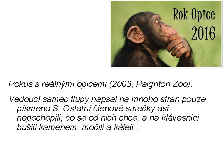 Pokus s reálnými opicemi (2003, Paignton Zoo): Vedoucí samec tlupy napsal na mnoho stran