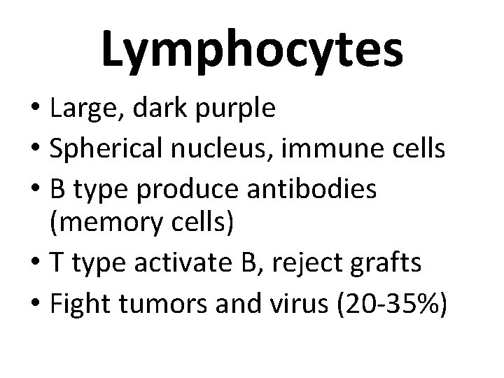 Lymphocytes • Large, dark purple • Spherical nucleus, immune cells • B type produce