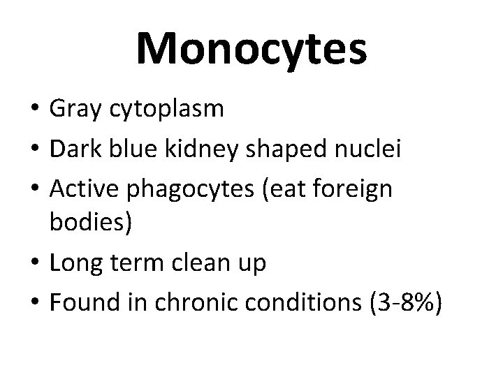 Monocytes • Gray cytoplasm • Dark blue kidney shaped nuclei • Active phagocytes (eat