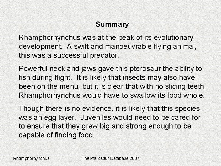 Summary Rhamphorhynchus was at the peak of its evolutionary development. A swift and manoeuvrable