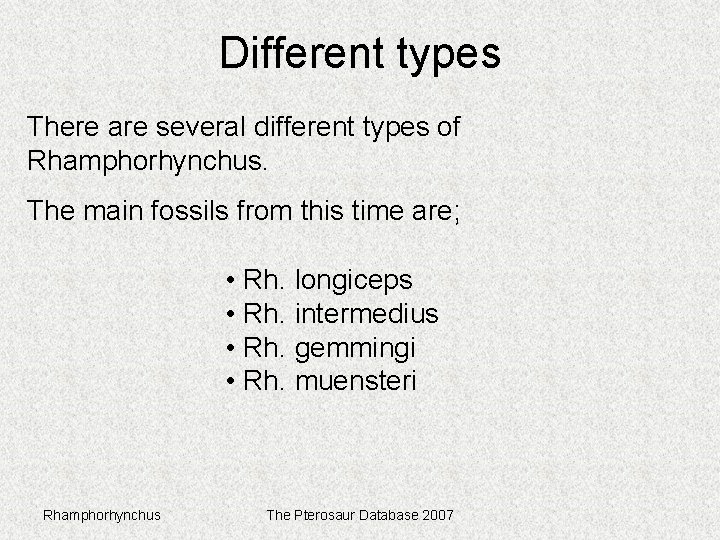 Different types There are several different types of Rhamphorhynchus. The main fossils from this