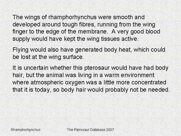 The wings of rhamphorhynchus were smooth and developed around tough fibres, running from the