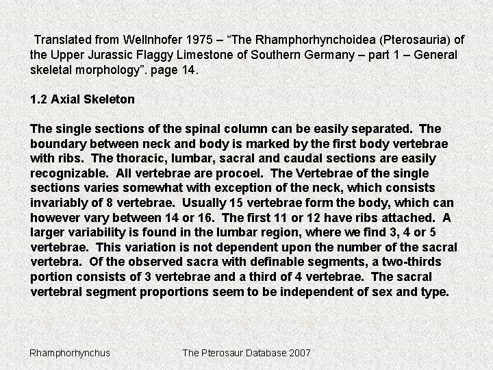 Translated from Wellnhofer 1975 – “The Rhamphorhynchoidea (Pterosauria) of the Upper Jurassic Flaggy Limestone