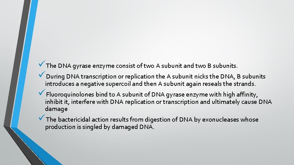 üThe DNA gyrase enzyme consist of two A subunit and two B subunits. üDuring