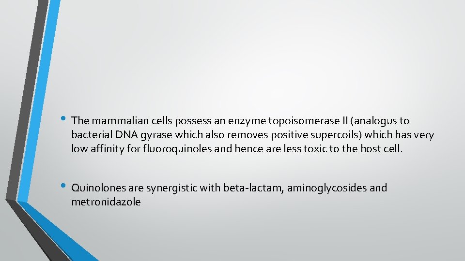  • The mammalian cells possess an enzyme topoisomerase II (analogus to bacterial DNA