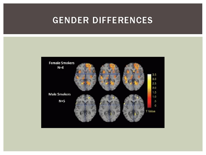 GENDER DIFFERENCES 