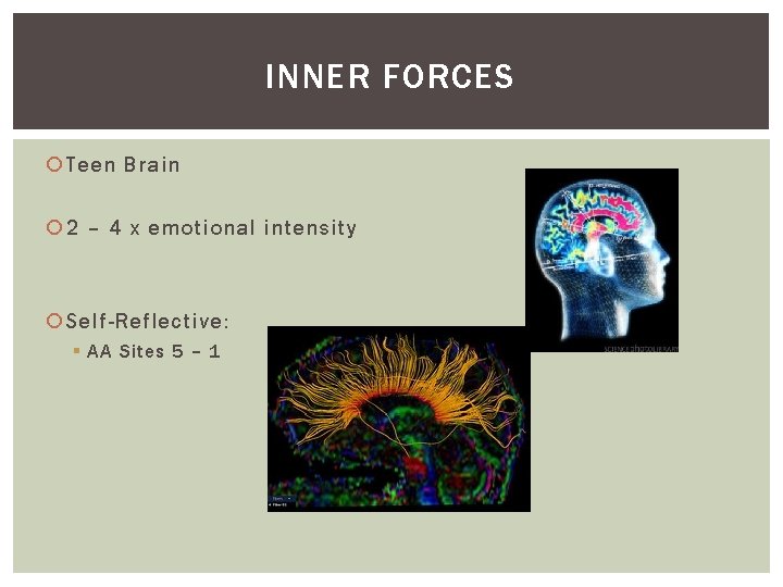 INNER FORCES Teen Brain 2 – 4 x emotional intensity Self-Reflective: § AA Sites