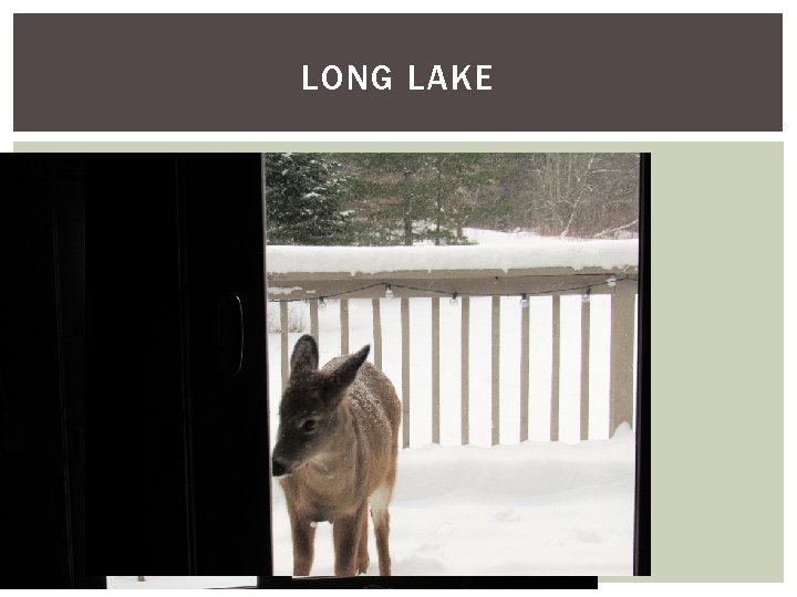 LONG LAKE 