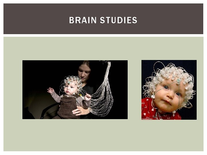 BRAIN STUDIES 