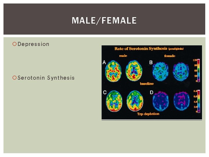 MALE/FEMALE Depression Serotonin Synthesis 