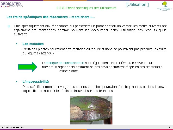 3. 3. 3. Freins spécifiques des utilisateurs [Utilisation ] Les freins spécifiques des répondants