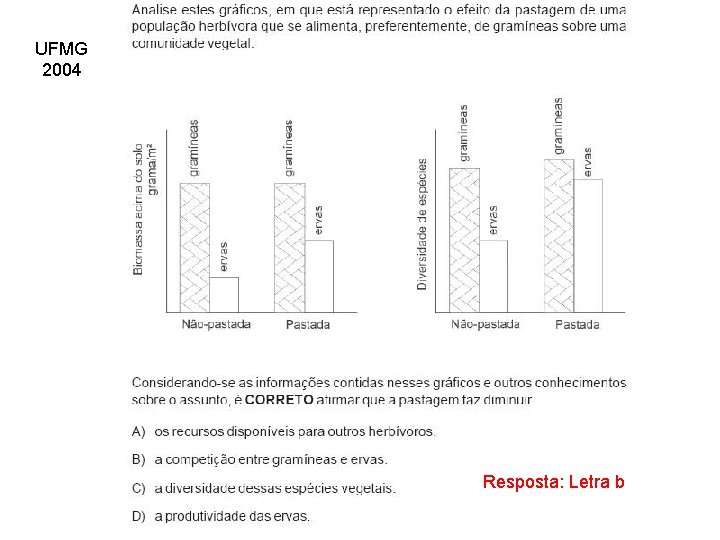 UFMG 2004 Resposta: Letra b 