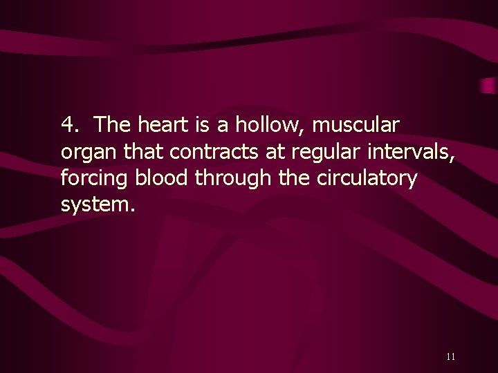 4. The heart is a hollow, muscular organ that contracts at regular intervals, forcing