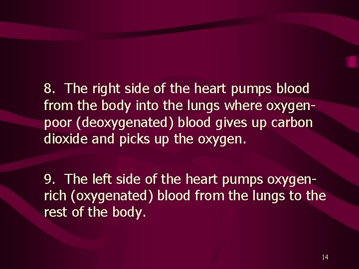 8. The right side of the heart pumps blood from the body into the