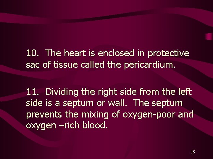 10. The heart is enclosed in protective sac of tissue called the pericardium. 11.