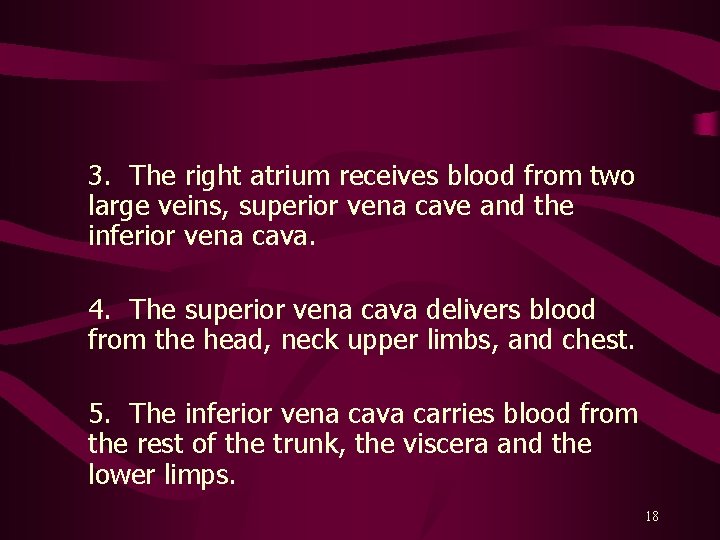 3. The right atrium receives blood from two large veins, superior vena cave and