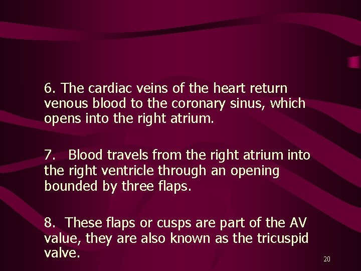 6. The cardiac veins of the heart return venous blood to the coronary sinus,