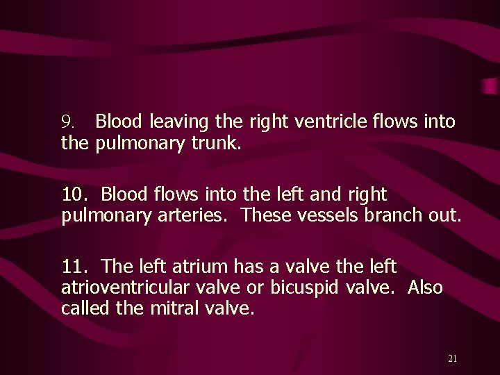 9. Blood leaving the right ventricle flows into the pulmonary trunk. 10. Blood flows