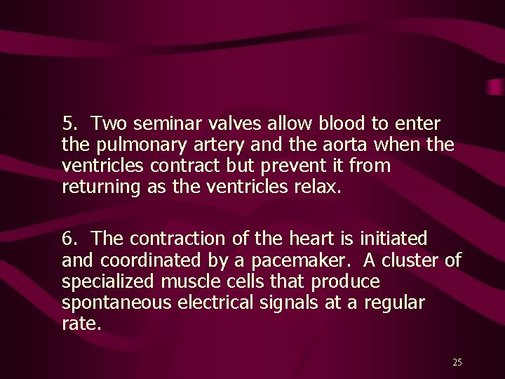 5. Two seminar valves allow blood to enter the pulmonary artery and the aorta