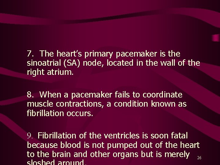 7. The heart’s primary pacemaker is the sinoatrial (SA) node, located in the wall